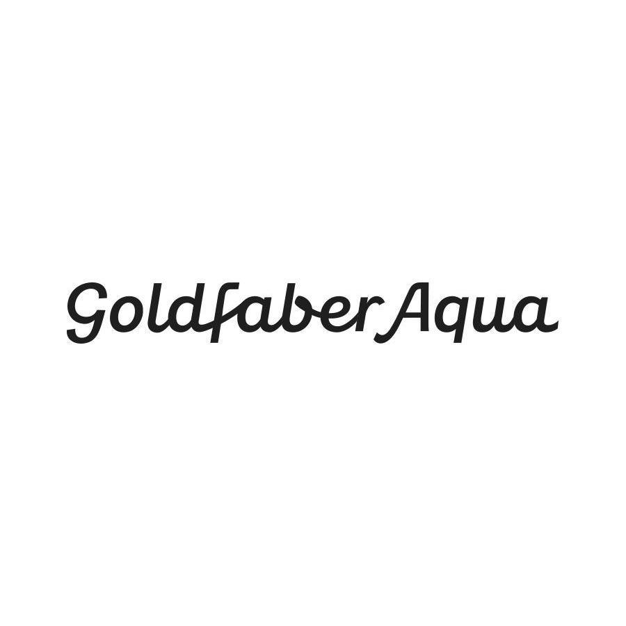 Faber-Castell - Crayon Goldfaber Aqua noir