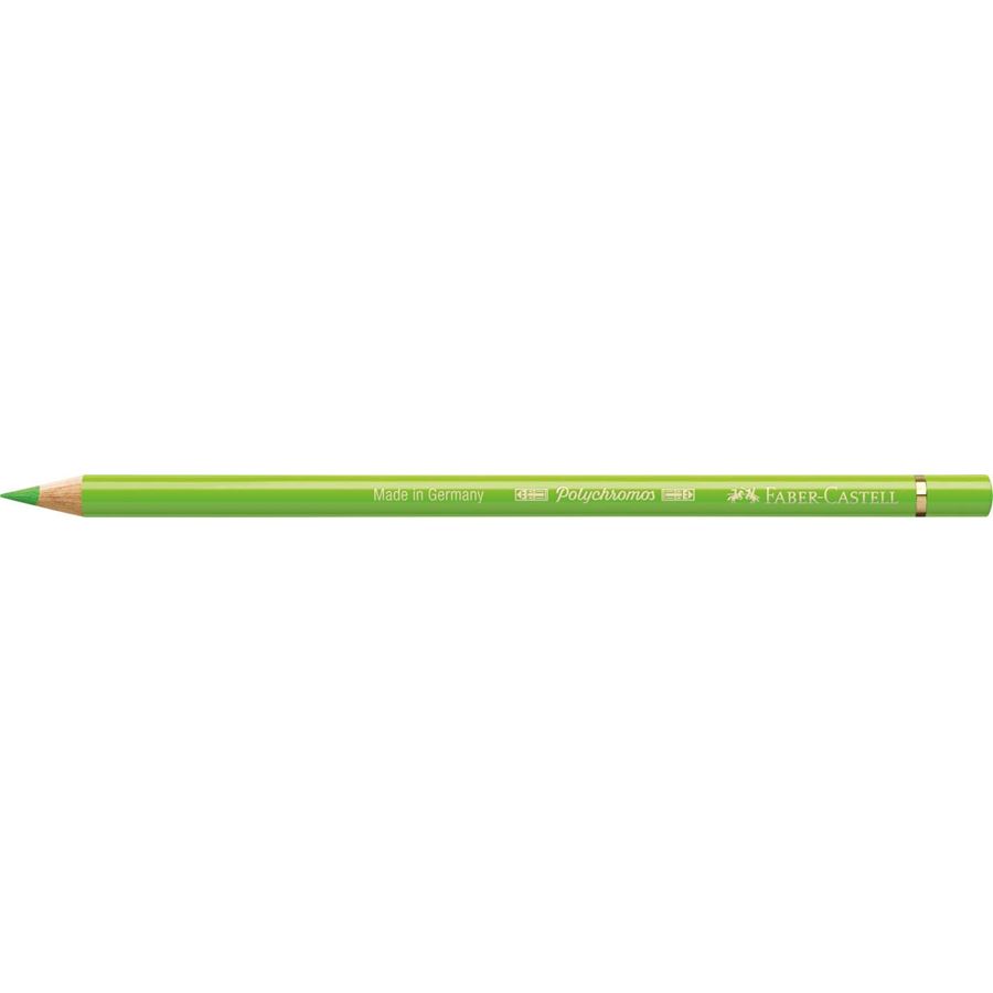 Faber-Castell - Crayon de couleur Polychromos 171 vert clair